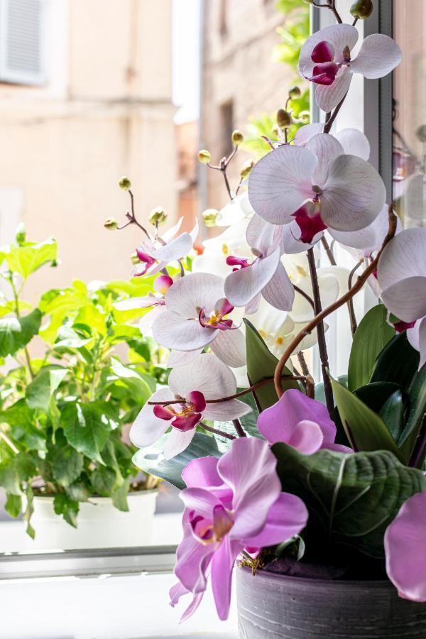Hotel Le Flore Fréjus Dış mekan fotoğraf
